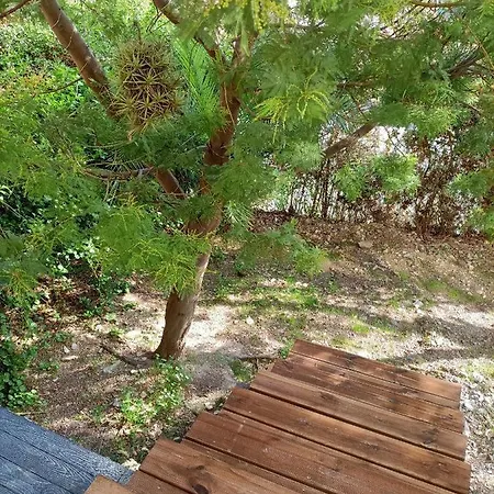 Proche Avec Terrasse Et Jardin Privatif * Hyeres