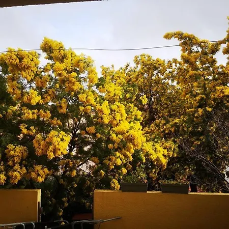 Apartamento Proche Avec Terrasse Et Jardin Privatif Hyères